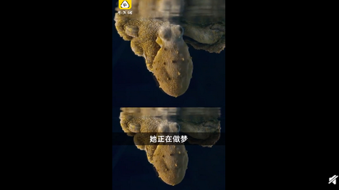 梦见一家人在一起吃螃蟹，家庭和睦与幸福生活的象征