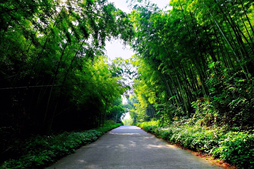 梦境启示，携手奋斗，爱的预兆？