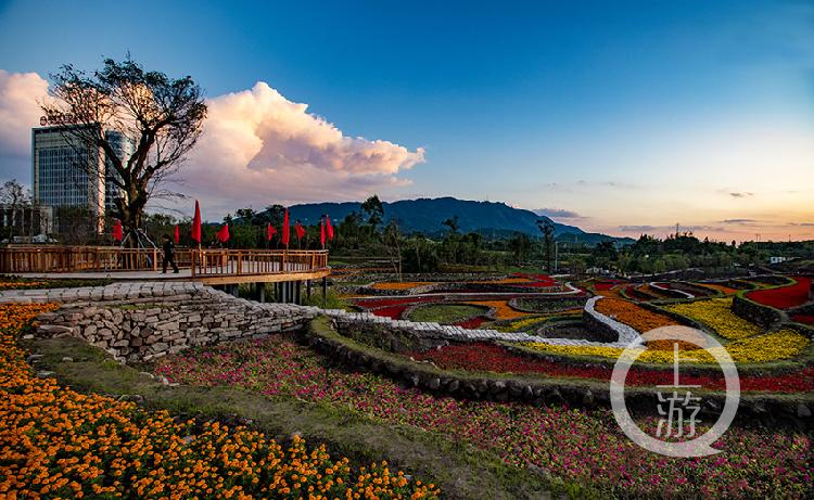 解析梦境中的神秘白龙，探索梦境背后的深层含义与象征