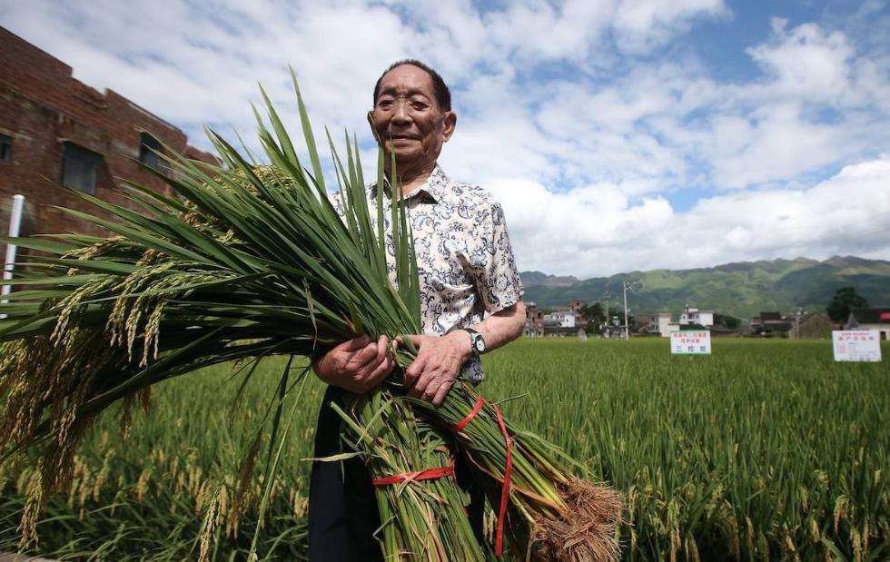 梦见苹果在瓶里装的，探索潜意识中的丰收与束缚
