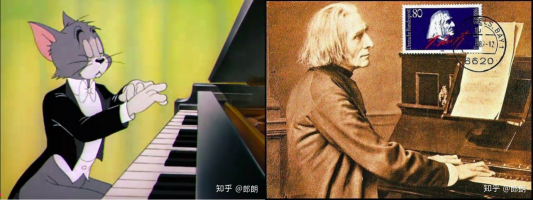 梦境的交响，解析梦见猫和狗的深层含义