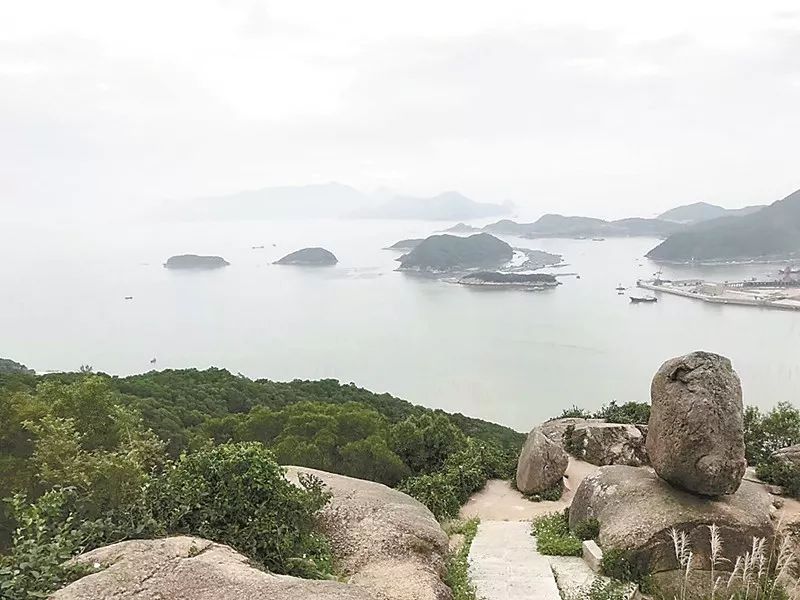 梦境之谜，农田水潭里的丰饶与收获——解析梦见捞鱼虾的深层含义