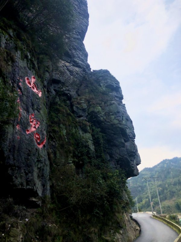 经常梦到牙齿掉了，潜意识中的焦虑与自我探索