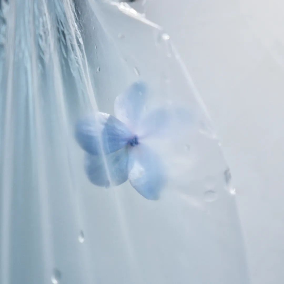 梦境迷雾，解析一大堆鱼与鲨鱼散落的梦境之旅