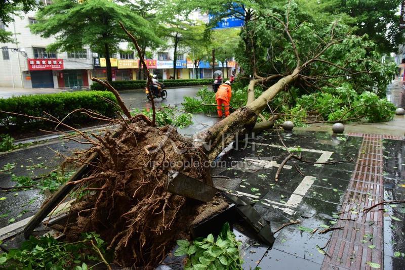 梦见刮台风怎么解，探索梦境中的风暴与内心世界的关联