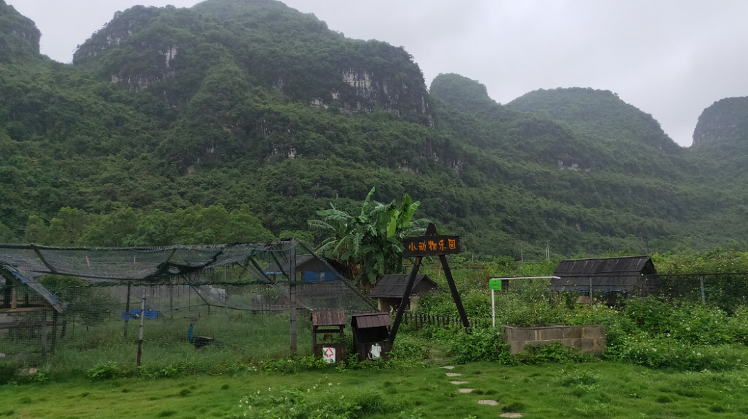 图片[10]-探寻从化区十佳主题餐厅，领略独特美食风情-广州-真探圈圈子-真探圈-成树文创