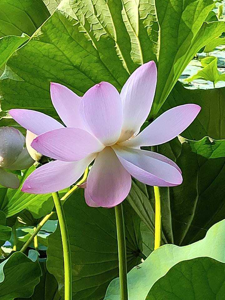 离别前夕的梦境交织，与前任的未了情缘