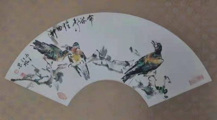 梦境中的彩羽之舞，探索梦到孔雀的深层含义
