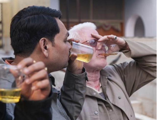 双色蛇咬臂之梦，探索梦境中的棕色与白色蛇象征及其警示