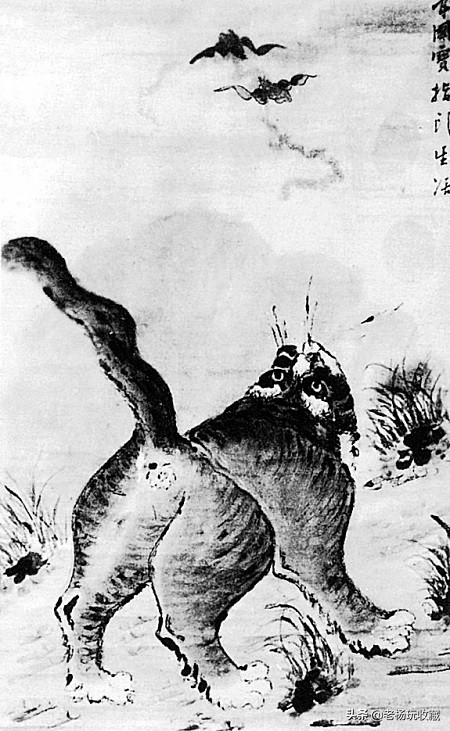 梦境解析，梦见老虎和猫动物打架的深层含义