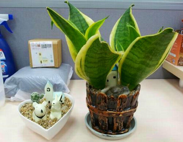 频繁梦见自己结婚，是喜是忧？——解梦心理学与民俗视角的深度解析