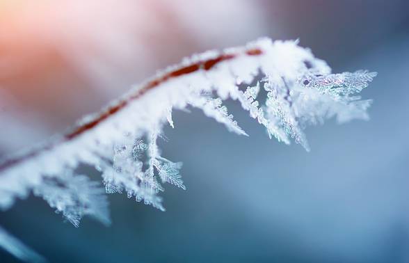 梦境奇缘，小孩子梦到钓龙——一场神秘而深邃的心理探索