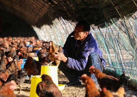 梦回鱼塘，解密梦见自己捡到小鱼又还给别人的深层含义