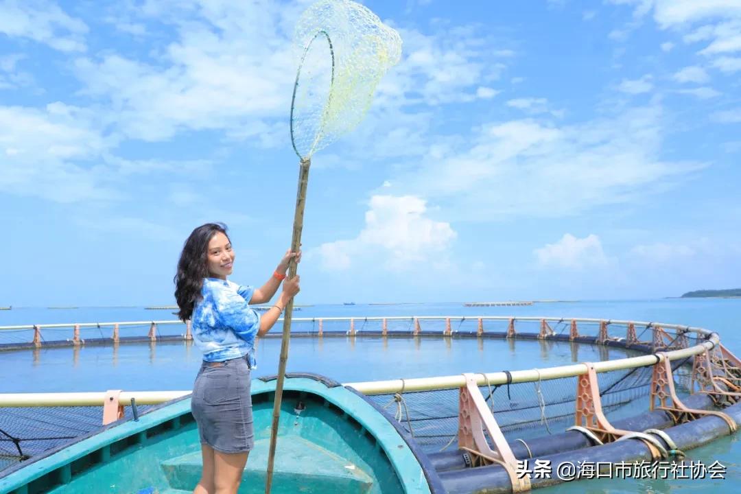 梦境捕鱼记，家庭团聚与收获的象征