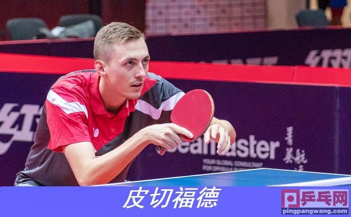 周公解梦，梦见一条大蛇与众多小蛇臣服，寓意深远的心灵启示