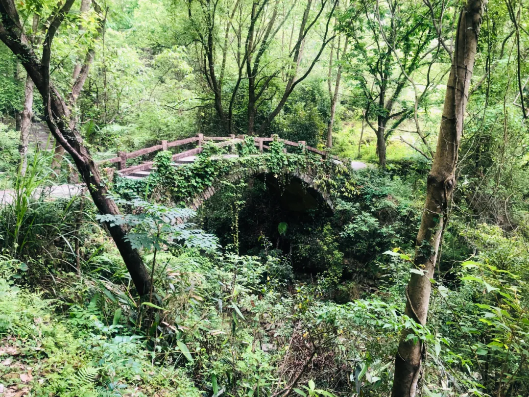 和前男友分手已放下，为何梦境仍缠绕？解析情感与梦境的微妙联系