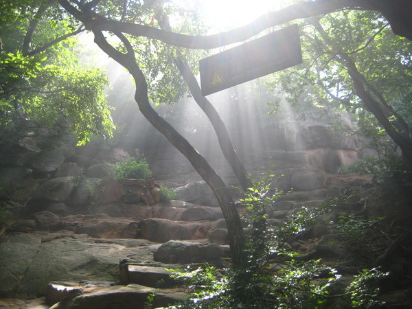 梦回幽谷，解读梦见3条蛇在眼前对视的深层寓意