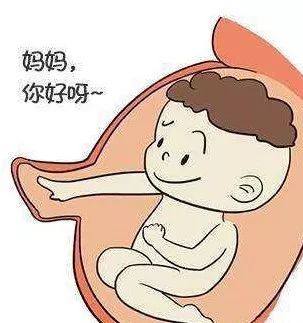 梦回母体，探索梦见自己怀孕胎动的深层心理奥秘