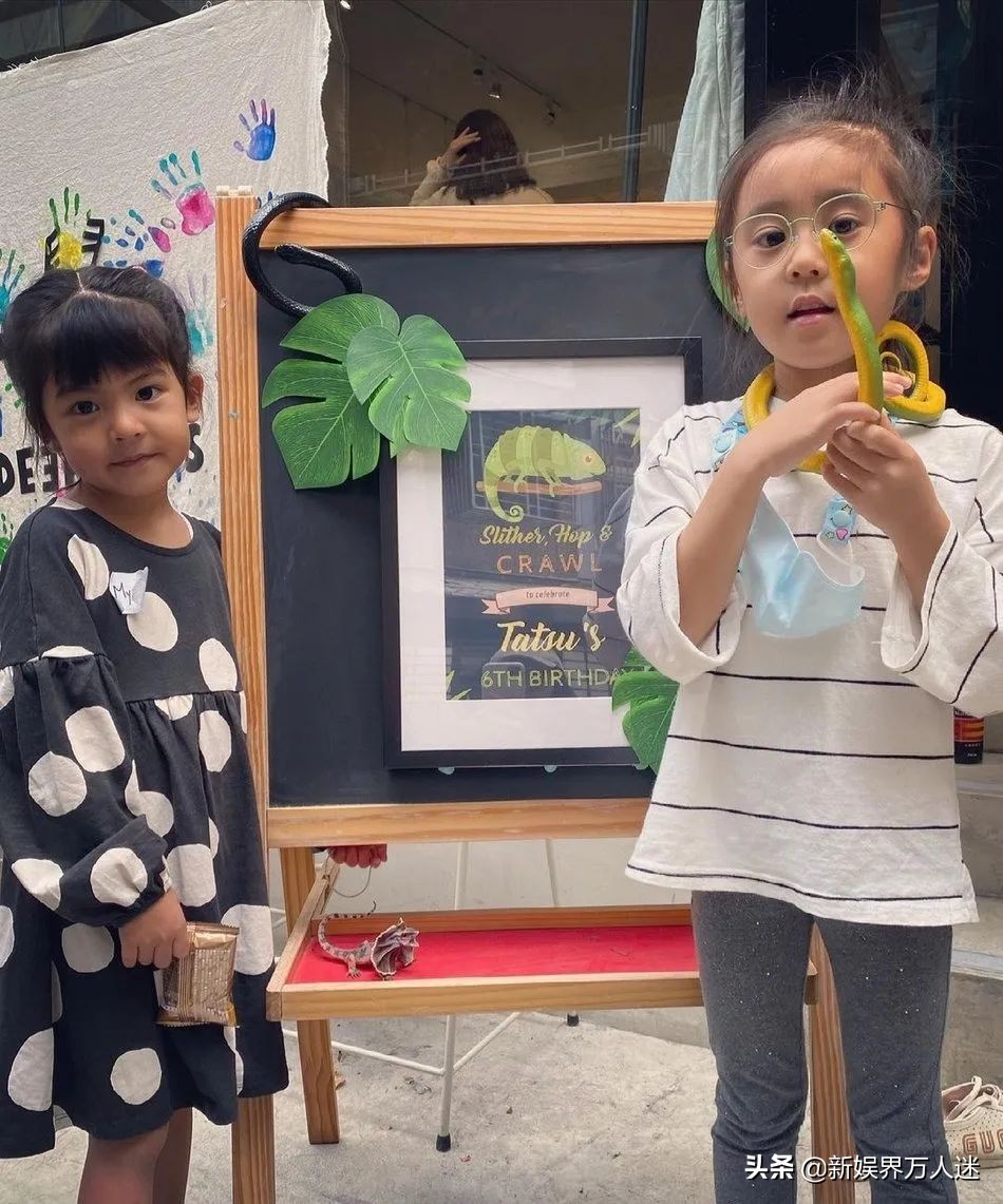 做梦梦见被一条很长绿色的蛇咬，梦境背后的深层解析与启示