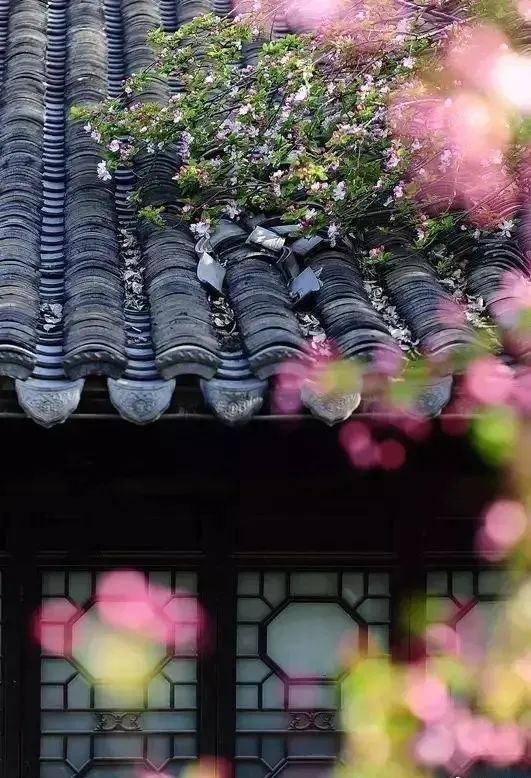 和女友分手后总是梦到她，梦境中的情感纠葛与自我疗愈