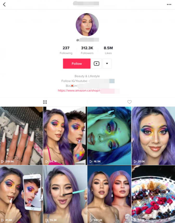 TikTok 达人邀约：开启海外营销新征程插图(2)