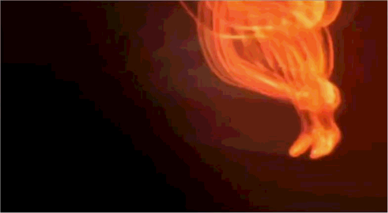 梦境中的蛇，未击毙的预兆，是吉是凶？