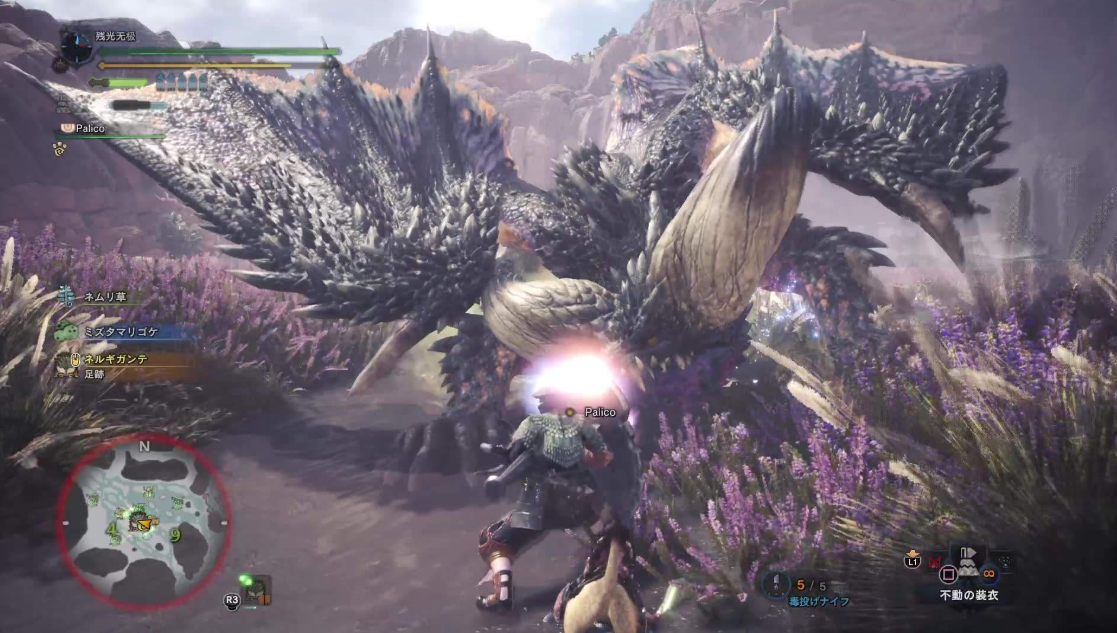 梦魇之境，解读梦见被猫咬住不放甩不掉的深层含义