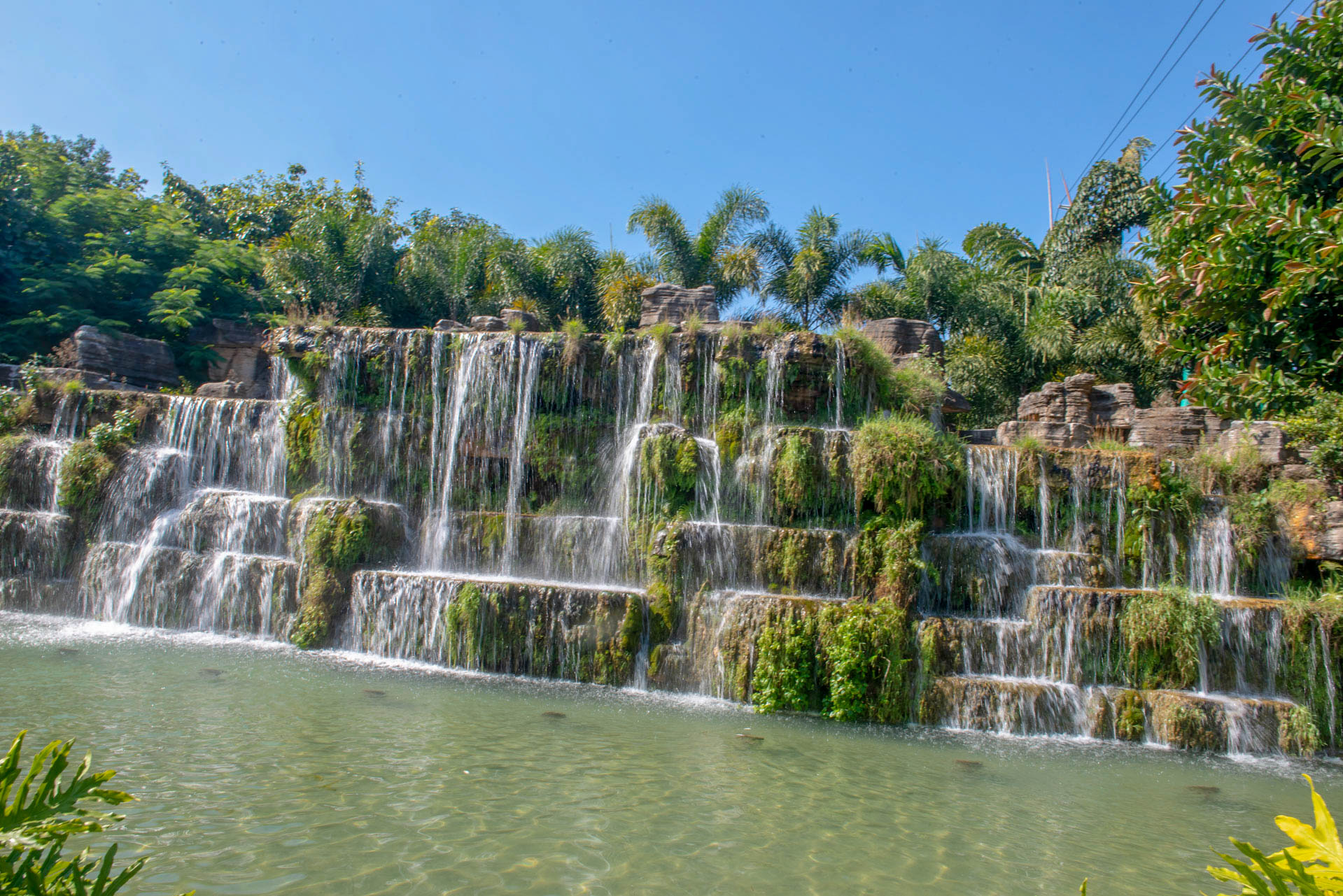 旅居中国十年后发现：这两座“春城”，才是理想生活的模样插图4