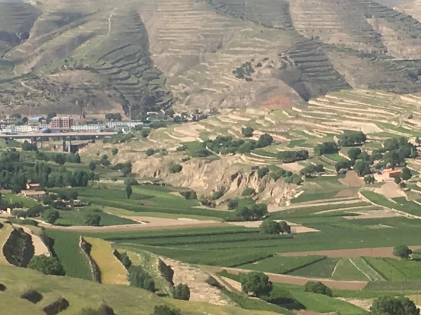 每日梦回，探索每天做梦梦见一个女孩的深层含义与心理解析