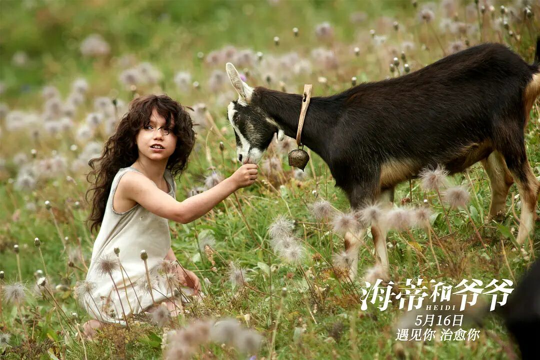 梦回往昔，情愫再续，梦中遥望与她的相遇