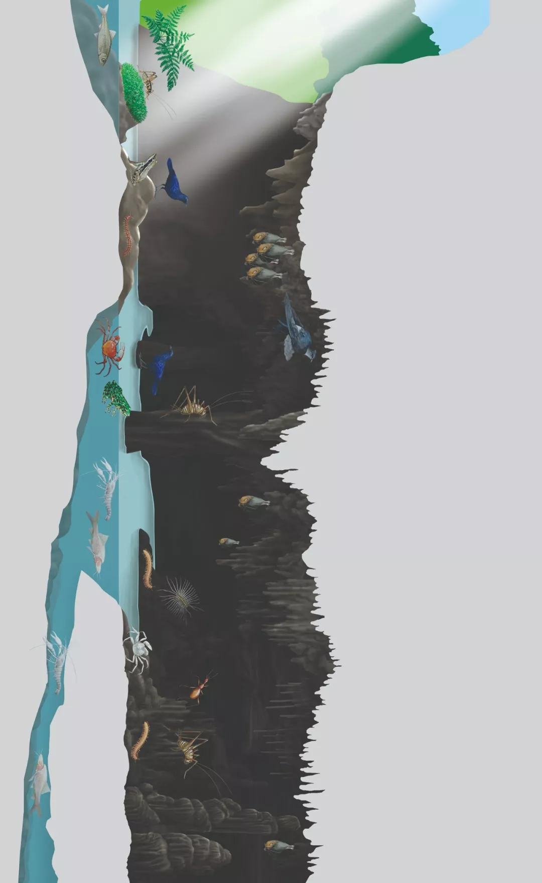 梦境解析，周公解梦之从腰侧拉出长长粪便的深层含义