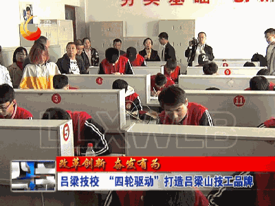 创新与梦想，打造品牌库的奇妙之旅