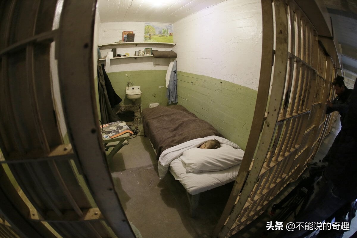 梦境迷雾，梦见自己进监狱的深层寓意与心理解析