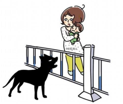 梦境解析，梦到被狗咬到左手的深层含义与正解