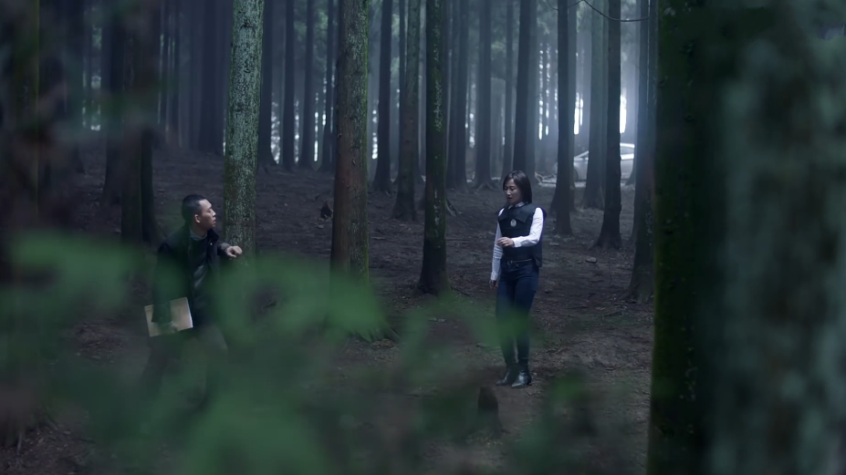 梦境的启示，梦见狗追咬与帅哥、马救赎的深层含义