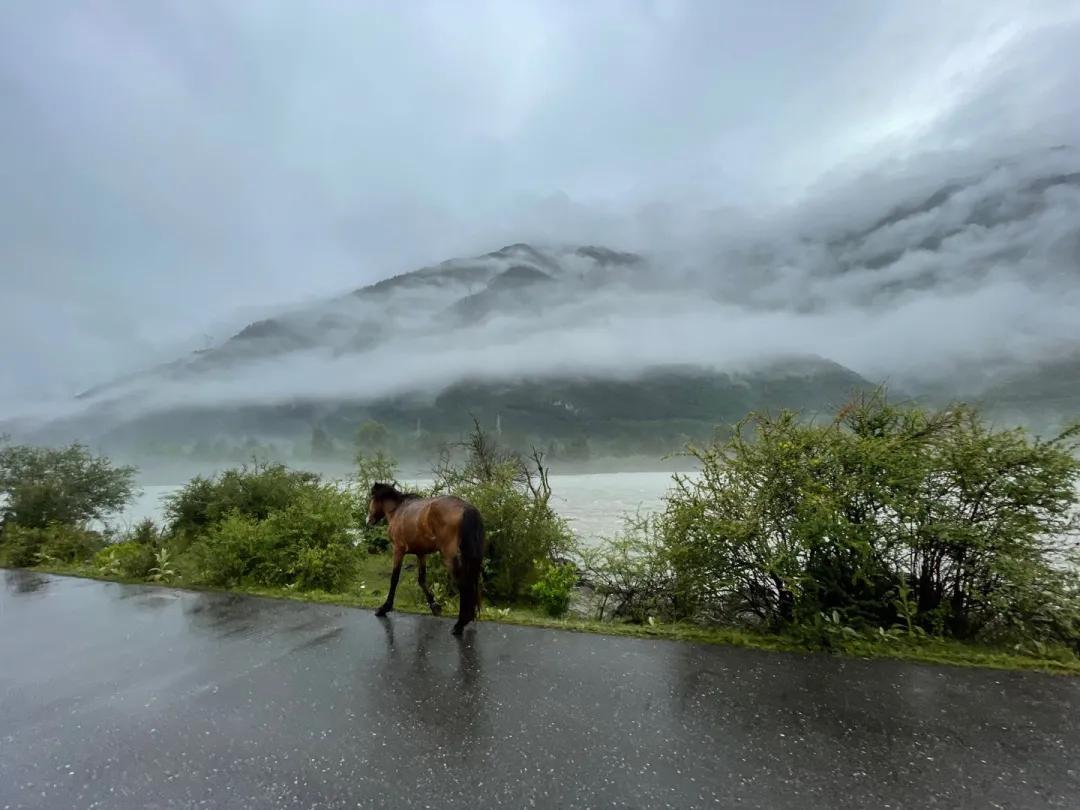 梦境中的死生交织，解析梦见有人对我说她死了的深层含义