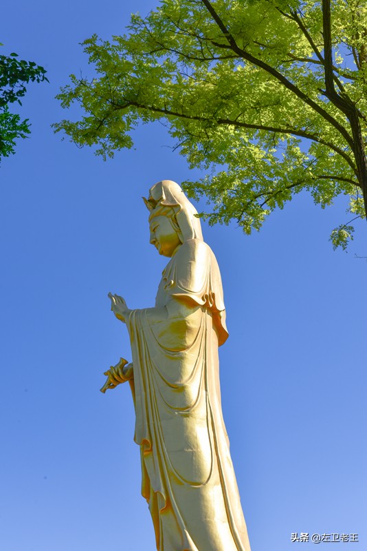 梦见观音菩萨站在我对面对我说要给我渡金身，探寻梦境背后的深层含义