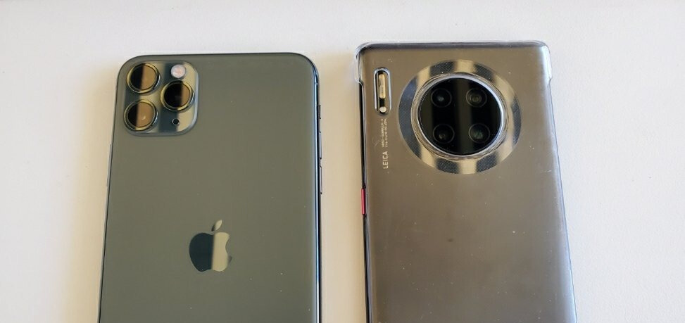 梦境中的抉择，解析梦到把狗打死的深层含义