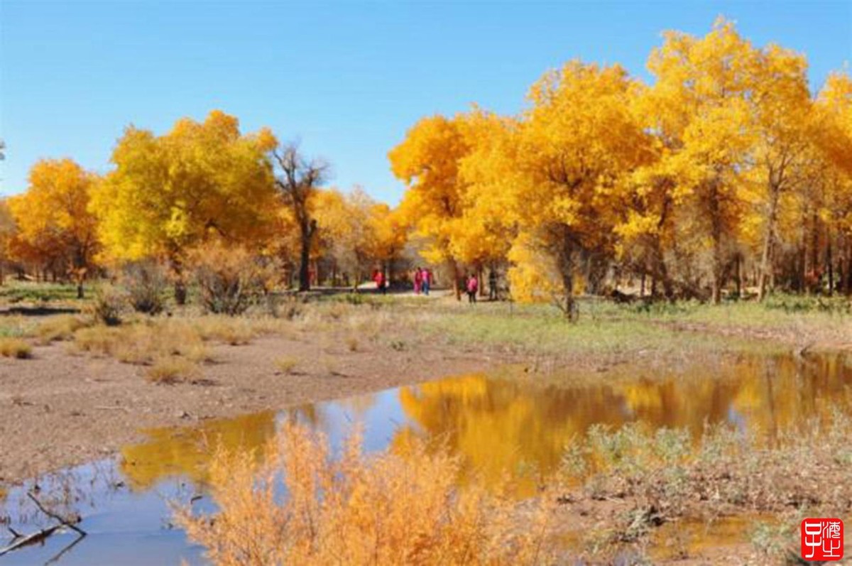 梦境的深度对话，解析如果一个人在梦里经常梦到一个人意味着什么