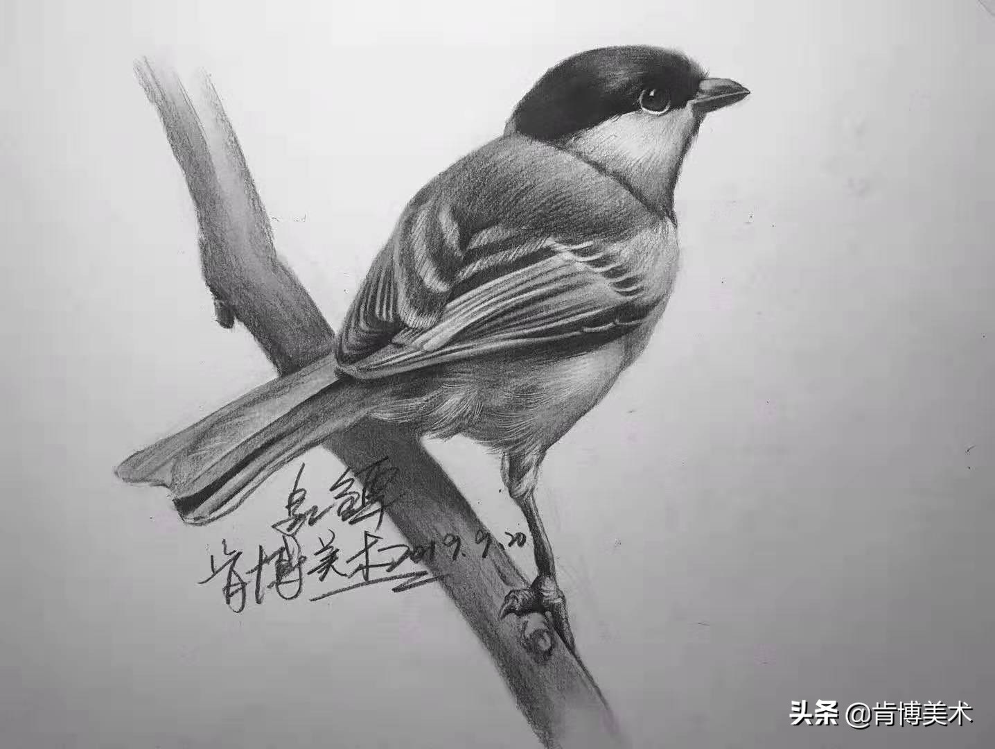 周公解梦，梦到一大窝可爱的小鸟——寓意与启示的深度解析