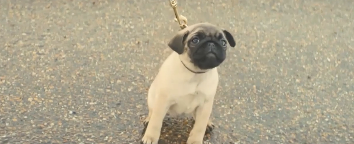 梦境解析，梦到从天上掉下来好多死人意味着什么？