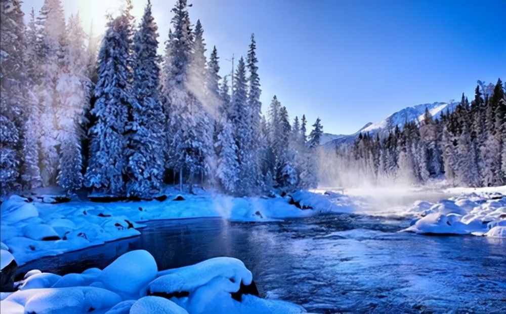 梦境奇缘，从救鸟到育人的神秘转变——解析一场关于爱与重生的梦境之旅