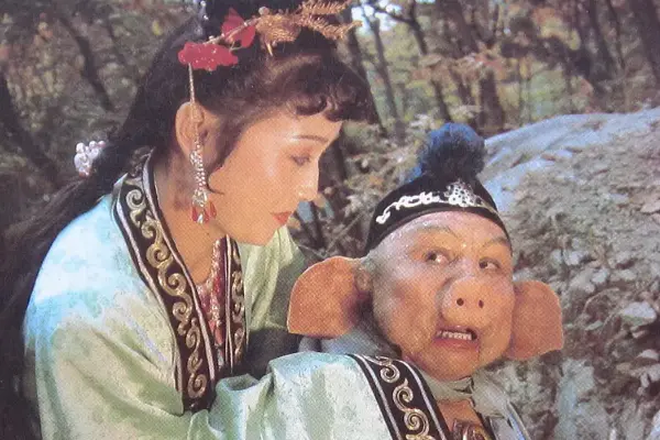梦境解析，梦见猪死了——白色之谜的深层含义