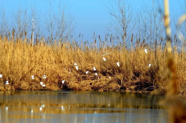 梦境的涟漪，解析梦见老公与其他女人在河里坐船耍的深层含义