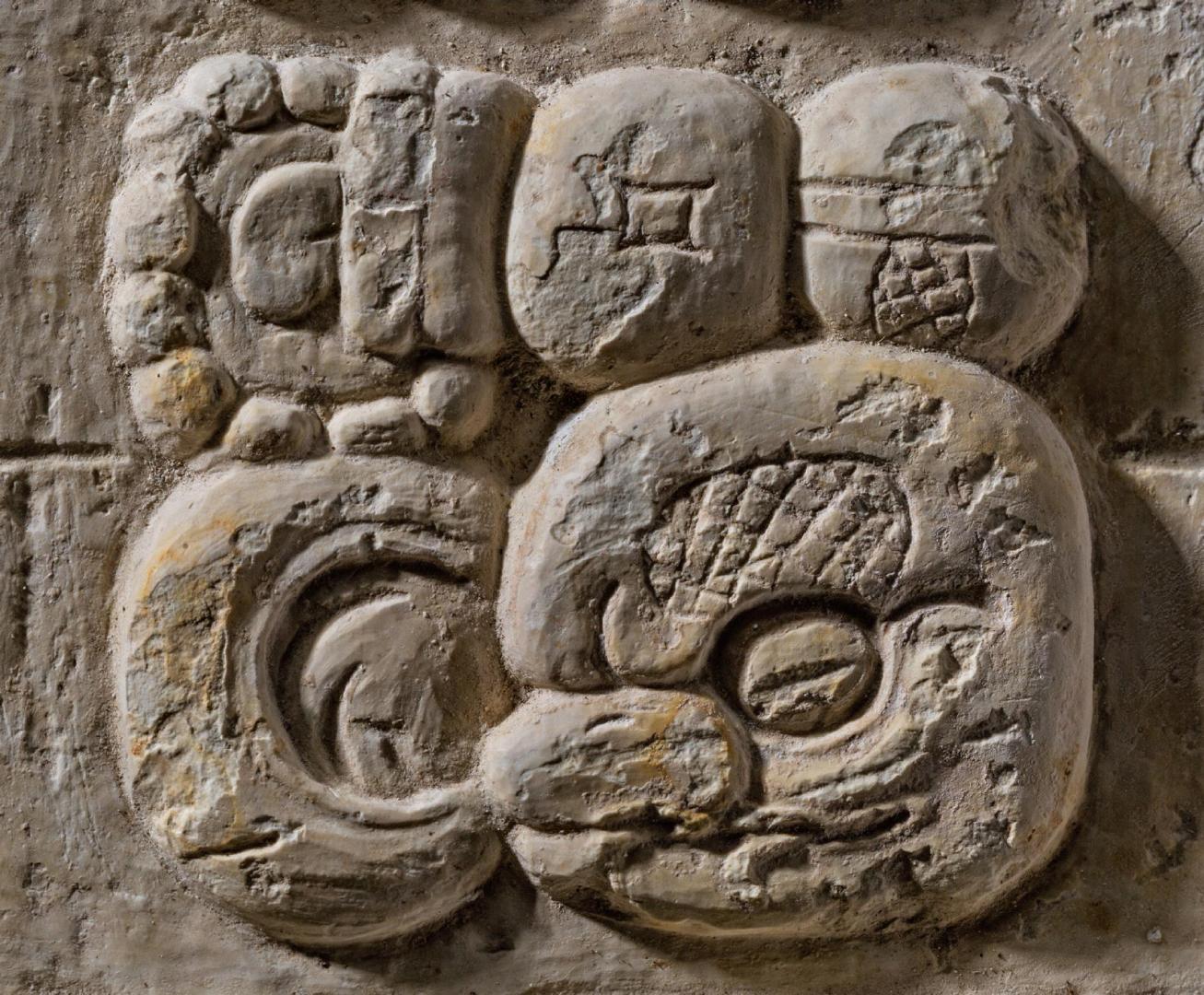 梦回蛇影，解析频繁梦见众多蛇的深层心理前兆