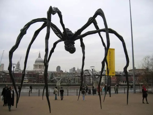 梦魇边缘，20岁女孩梦见大黑蜘蛛的深层解析与心理疏导