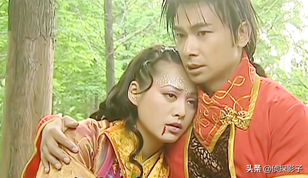 梦境迷城，解析梦见一座城市发生瘟疫，动物皆亡的深层含义