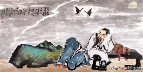 周公解梦梦见花草，解读梦境中的自然之美与心灵寓意