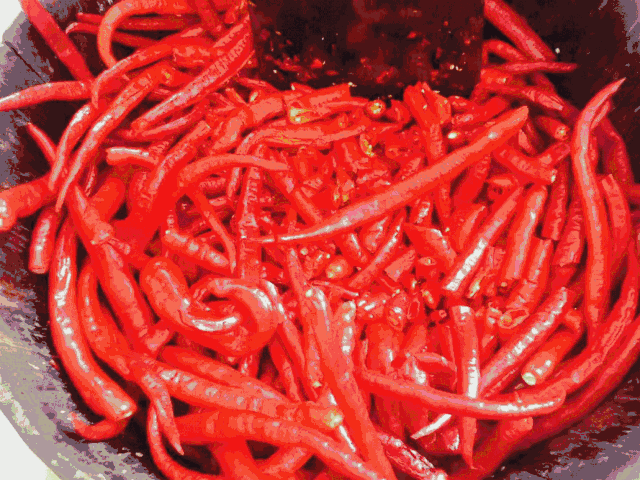 做梦梦到被蛇咬，潜意识中的警示与内心冲突的解析