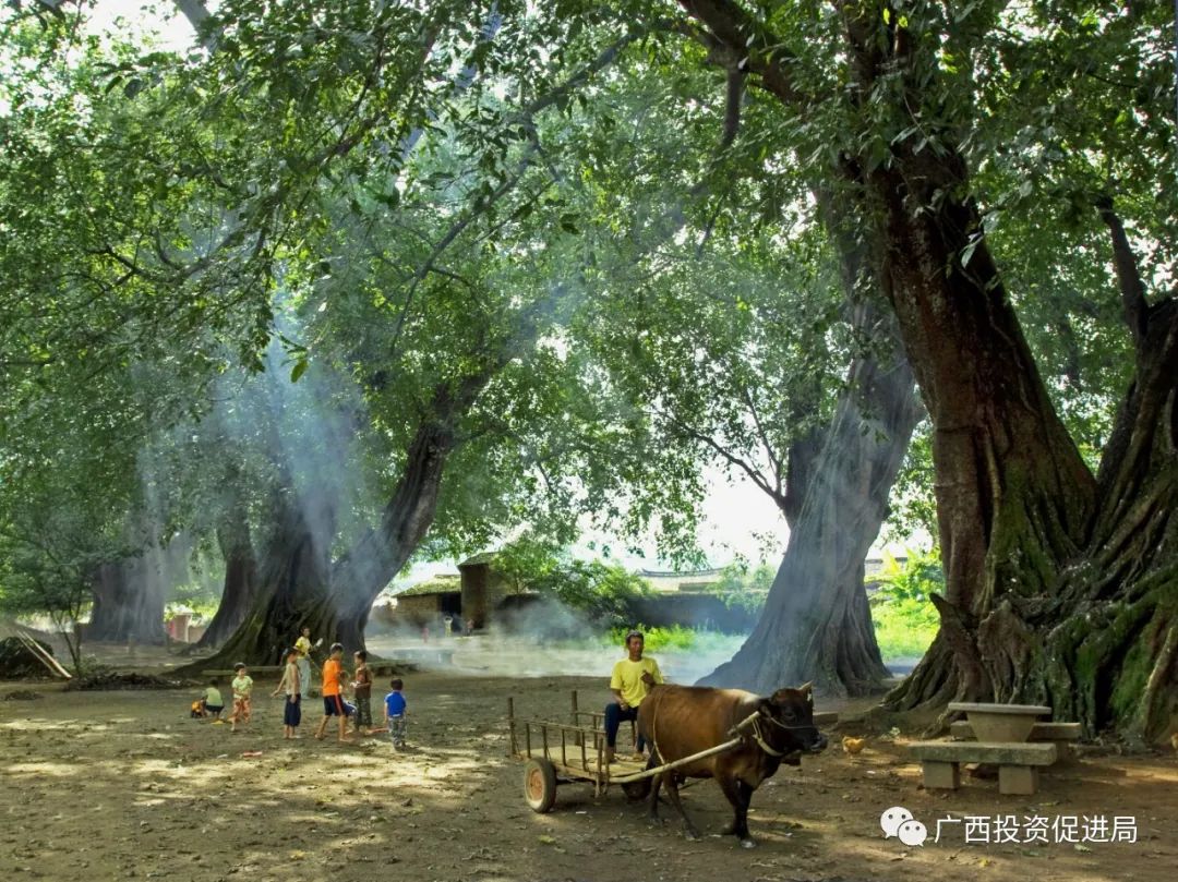 梦回往昔，解析梦到前女友又回我家了的深层含义